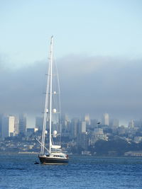 Sailboat sailing on sea by buildings against sky