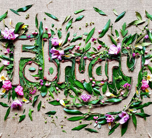 High angle view of february text made with flowers and leaves on fabric