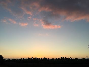 Silhouette trees on field against sky during sunset