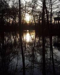 Silhouette trees by lake against sky during sunset