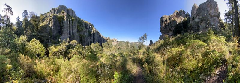 Panoramic view of trees and rocks against sky