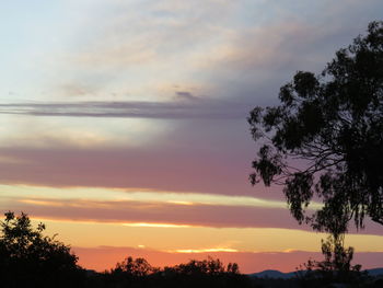 Low angle view of silhouette trees against sky during sunset