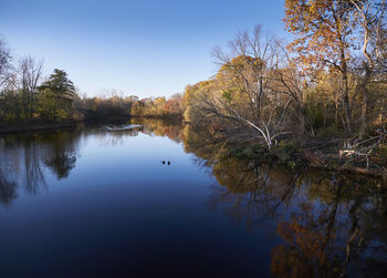 Reflection of trees in lake against clear sky