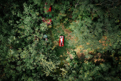 Aerial view of woman and french bulldog relaxing on camping bed in forest