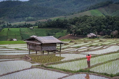 Scenic view of agricultural field