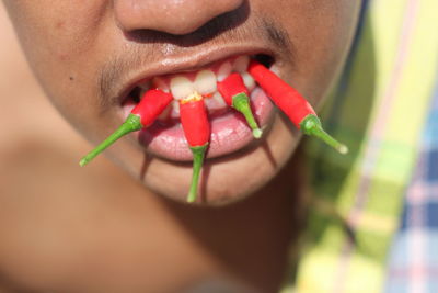 Midsection of man eating red chili peppers