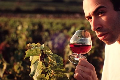 Portrait of man holding red wineglass at vineyard