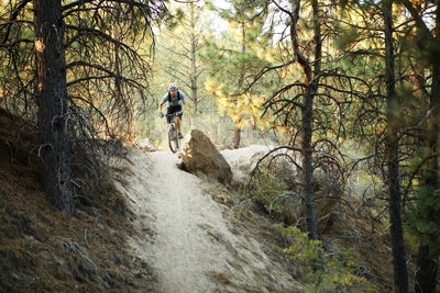 Man mountain biking on dirt road amidst trees in forest