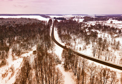 Trees on snow covered land against sky