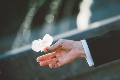 Close-up of hand holding flower