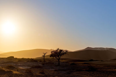 Scenic view of landscape against sky during sunset