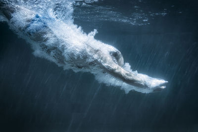 Side view of person diving in water