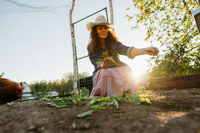 Woman farmer feeding chickens, sunny morning at home farm