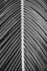 Full frame shot of metal grate