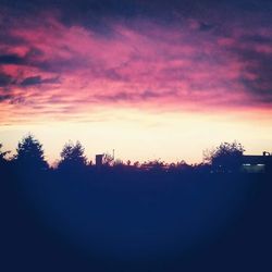 Silhouette of trees at sunset