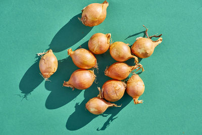 Directly above shot of onions against turquoise background