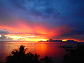 Scenic view of sunset over sea