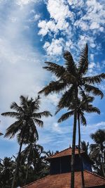 Low angle view of palm tree against sky