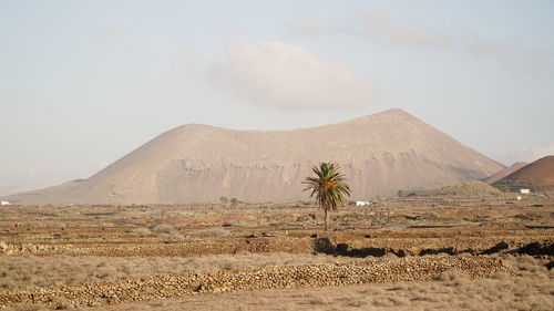 Scenic view of desert against sky