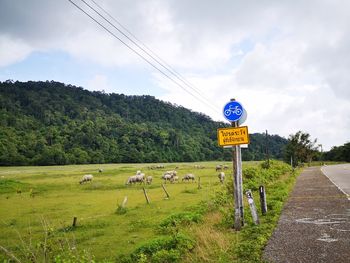 Road sign on field against sky