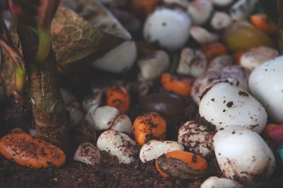 Full frame shot of vegetables