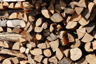 Full frame shot of logs in forest