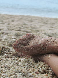 Low section of person on beach