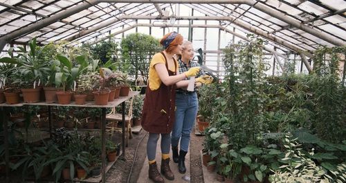 Women watering plants in greenhouse