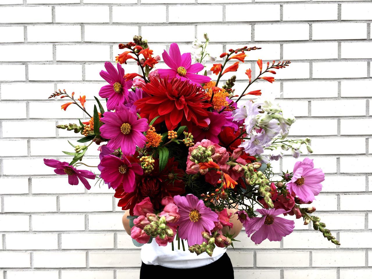 HIGH ANGLE VIEW OF PINK FLOWERS