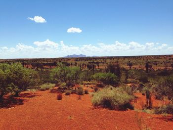 Scenic view of field against cloudy sky