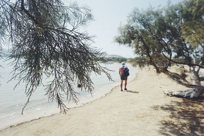 Rear view of man walking on shore at beach