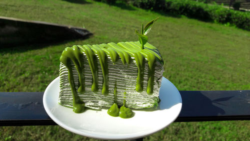 Close-up of fresh green vegetables in park