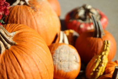 Close-up of pumpkins