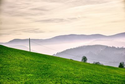 environment