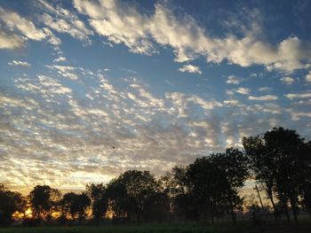Low angle view of silhouette trees against sky during sunset