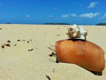 Scenic view of sandy beach
