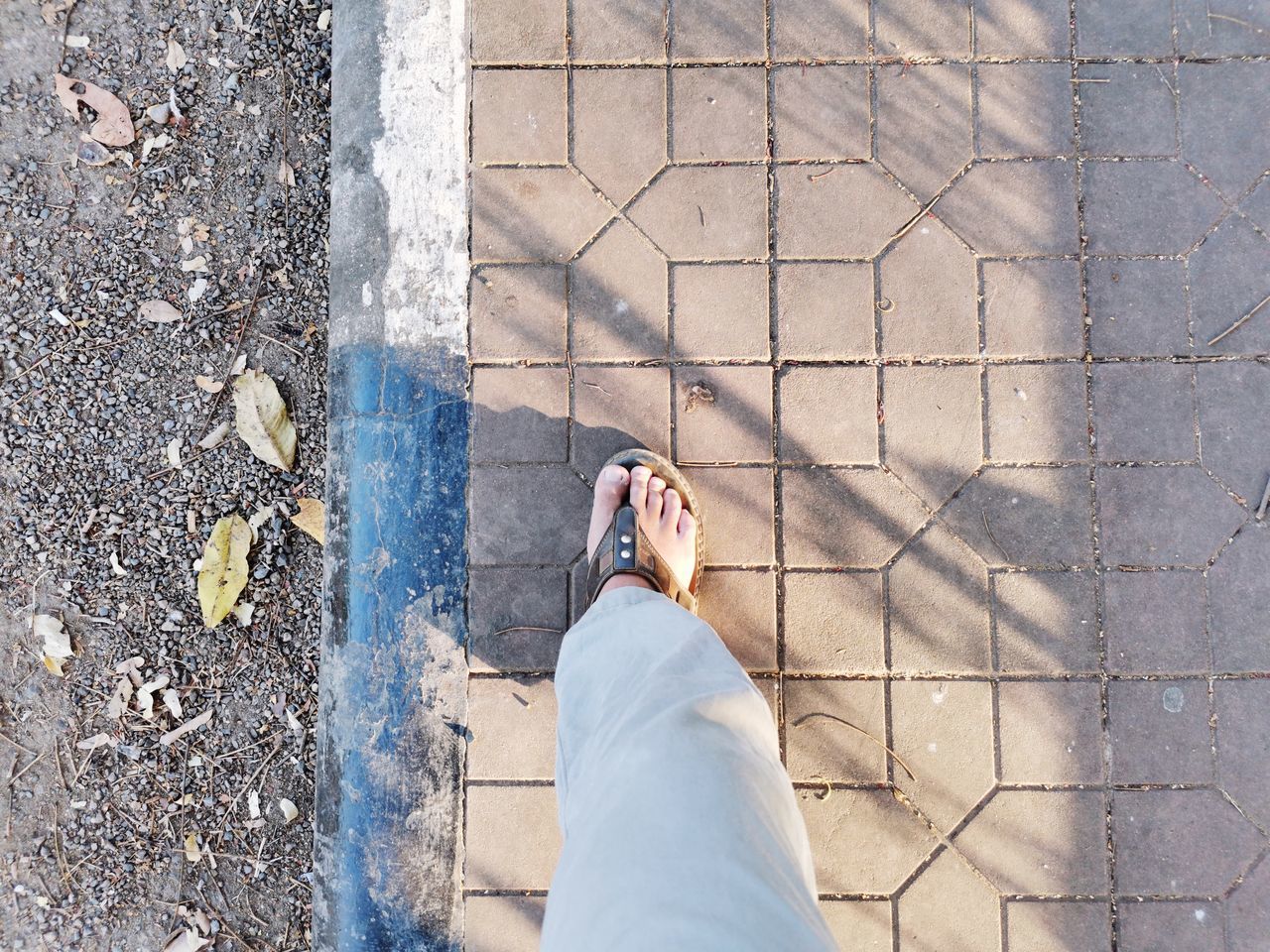 LOW SECTION OF WOMAN STANDING BY FOOTPATH