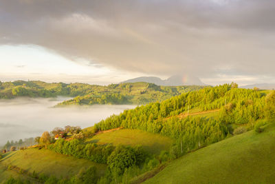 Scenic view of landscape against sky