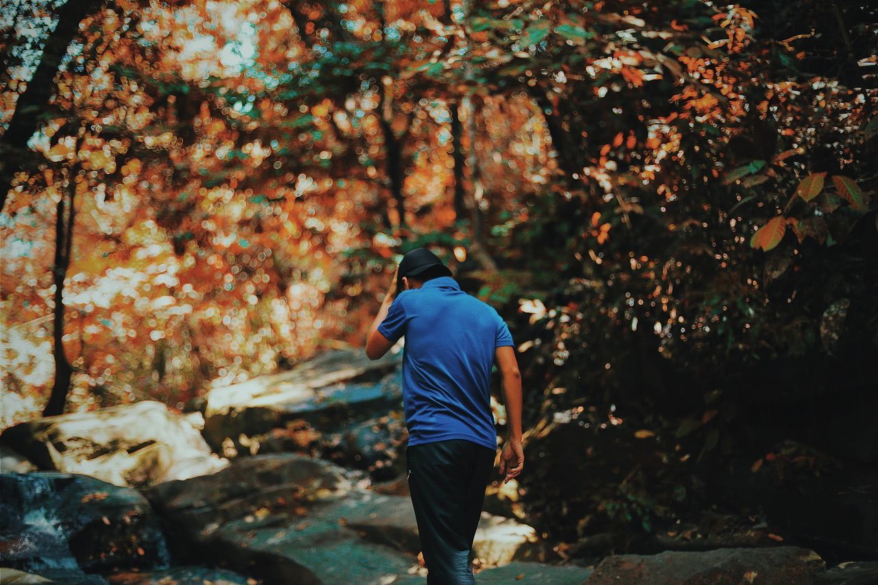 one person, real people, rear view, men, lifestyles, leisure activity, nature, tree, casual clothing, full length, day, plant, walking, autumn, land, outdoors, forest, rock, rock - object