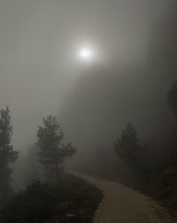 Scenic view of moon at night