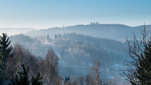 Panoramic view of forest against sky