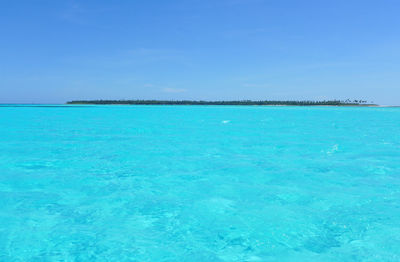 Scenic view of sea against clear blue sky