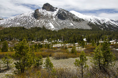 Scenic view of landscape against sky during winter