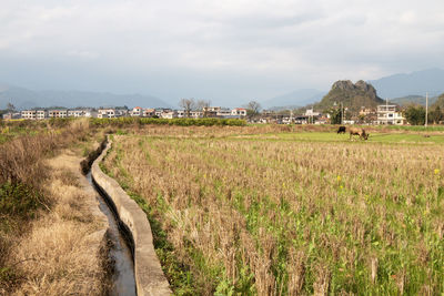 landscape