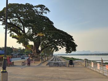 People by trees against sky