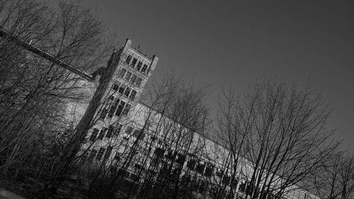 Low angle view of tree against sky