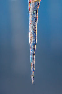 Close-up of icicles during winter