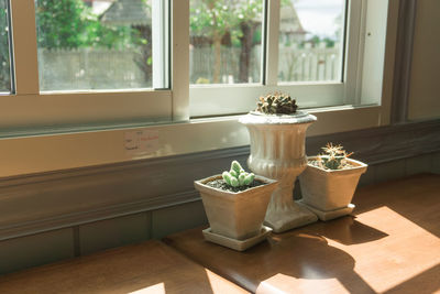 Potted plants on window sill