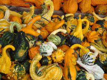 Full frame shot of pumpkins at market