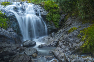 Scenic view of waterfall in forest